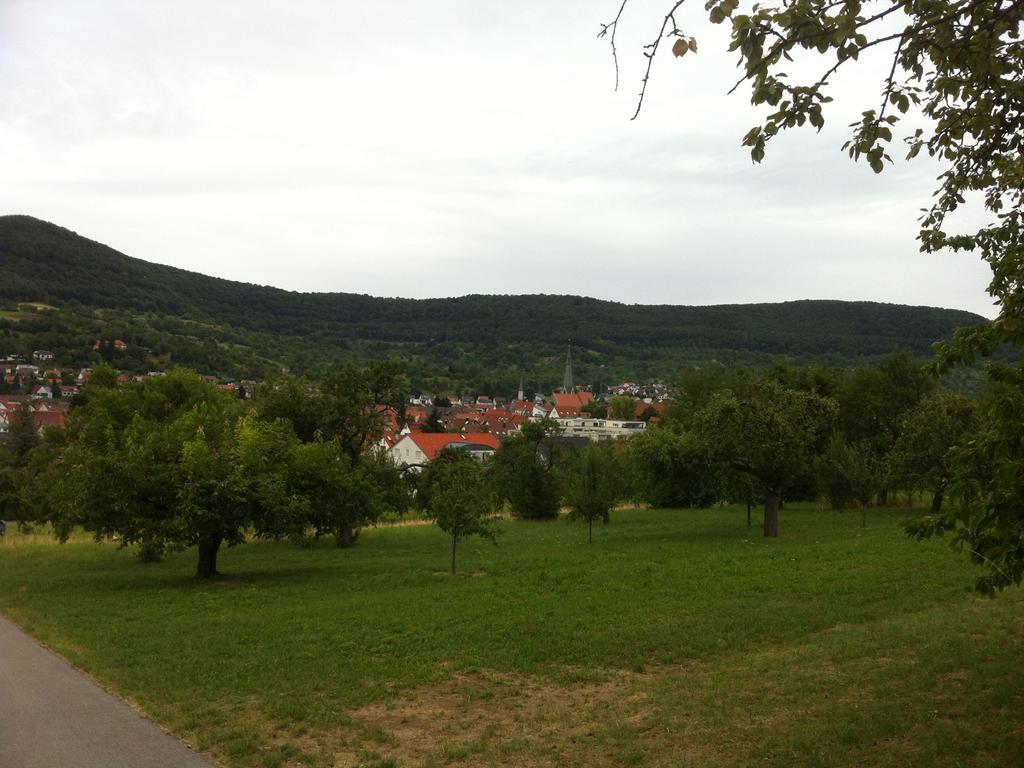 Ferienwohnung Heike Dettingen an der Erms Esterno foto